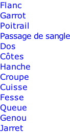 Flanc Garrot Poitrail Passage de sangle Dos Côtes Hanche Croupe Cuisse Fesse Queue Genou Jarret