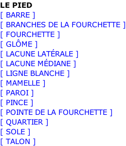 LE PIED [ BARRE ] [ BRANCHES DE LA FOURCHETTE ] [ FOURCHETTE ] [ GLÔME ] [ LACUNE LATÉRALE ] [ LACUNE MÉDIANE ] [ LIGNE BLANCHE ] [ MAMELLE ] [ PAROI ] [ PINCE ] [ POINTE DE LA FOURCHETTE ] [ QUARTIER ] [ SOLE ] [ TALON ]