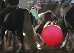 Horse-ball